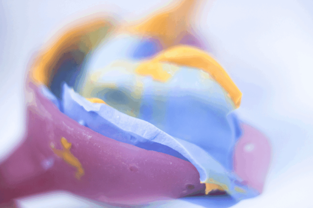 denture mold and impressions at dental office Bethesda